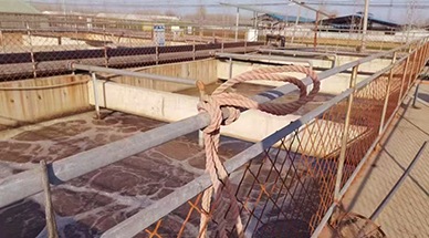 ?雷茨空氣懸浮風(fēng)機(jī)，讓食品廠污水處理節(jié)能30%-50%